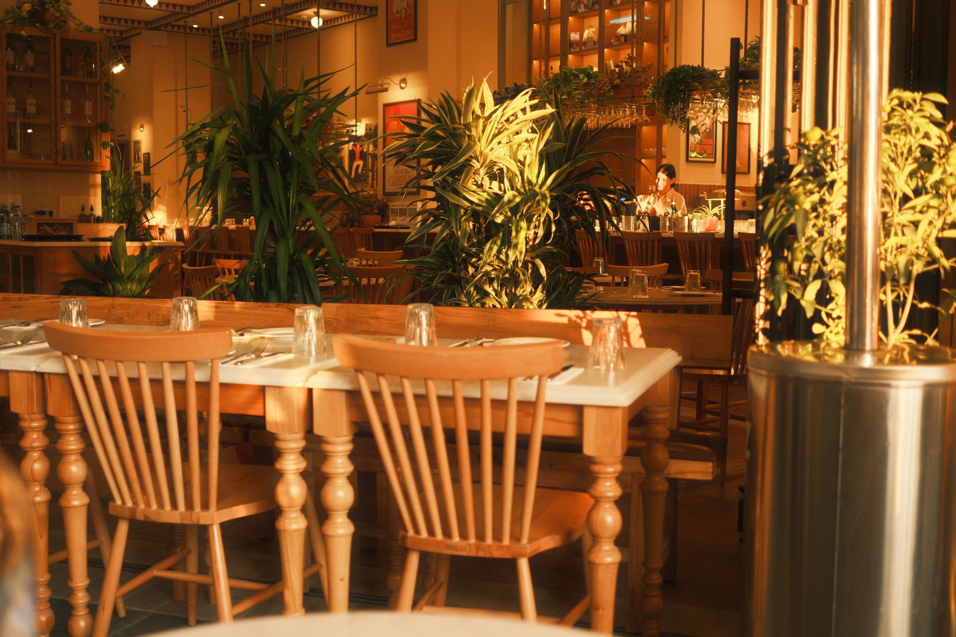 Dining + plants
